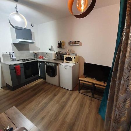 Charmant Petit F1 Apartman Tain-lʼHermitage Kültér fotó